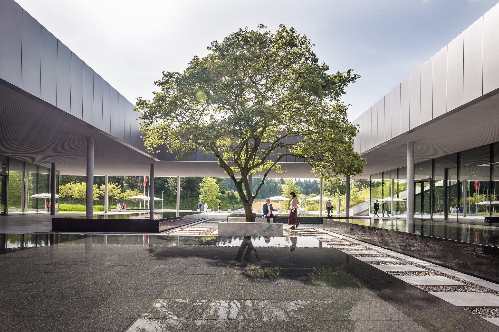 53124787380_82e6415e29_k