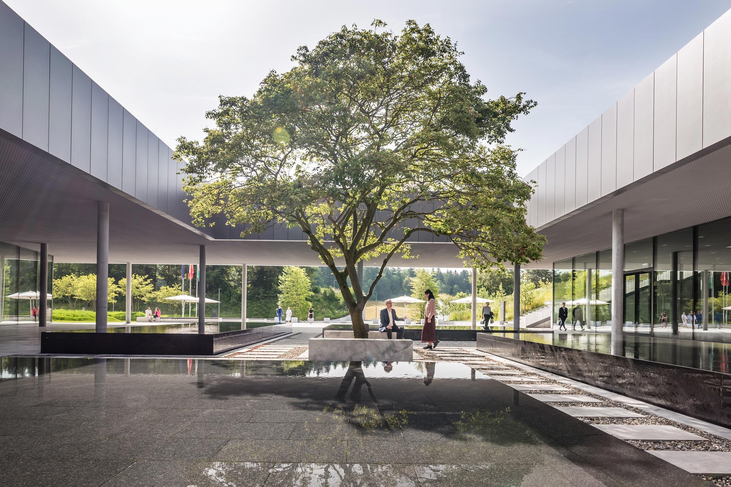 ehl-entrance-tree-people