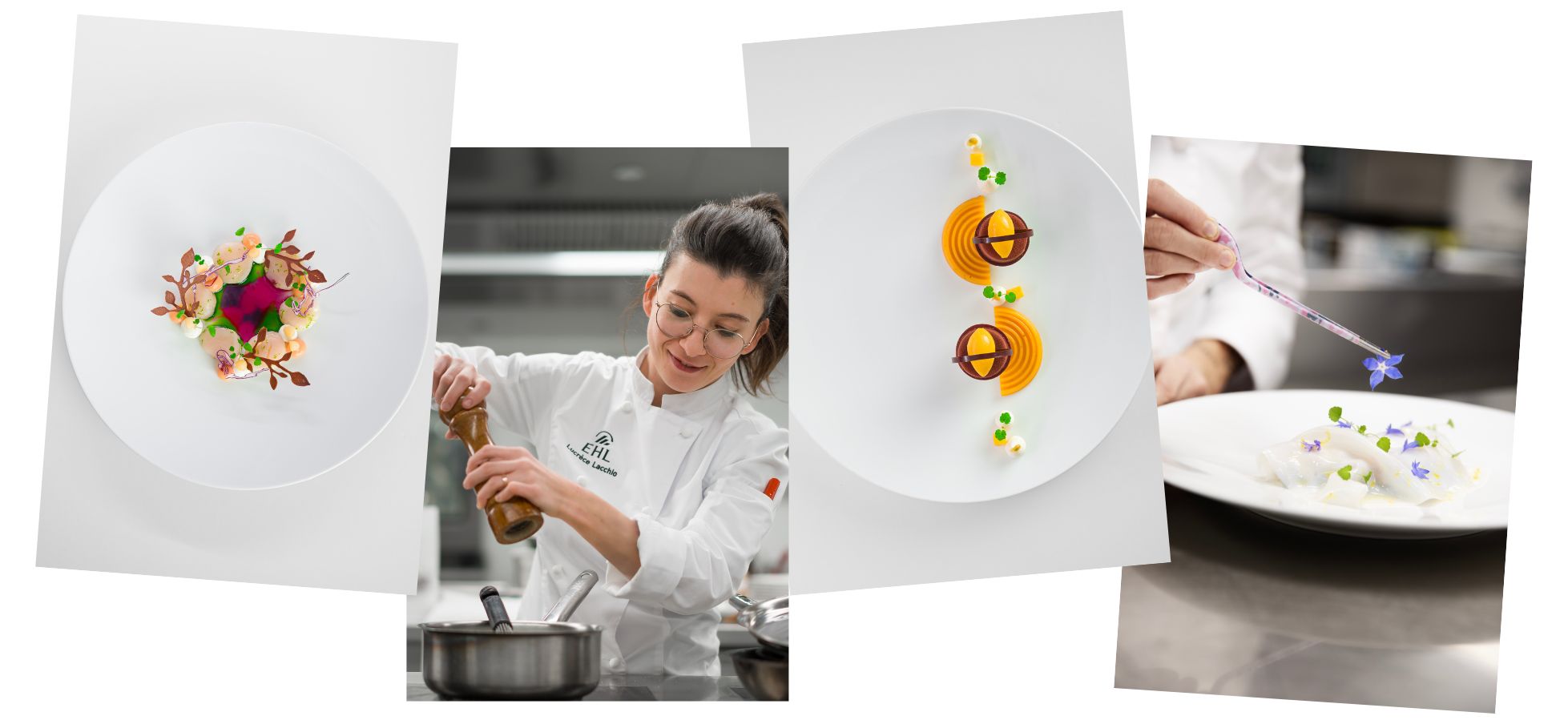 CollageHomePage_width1500_2023