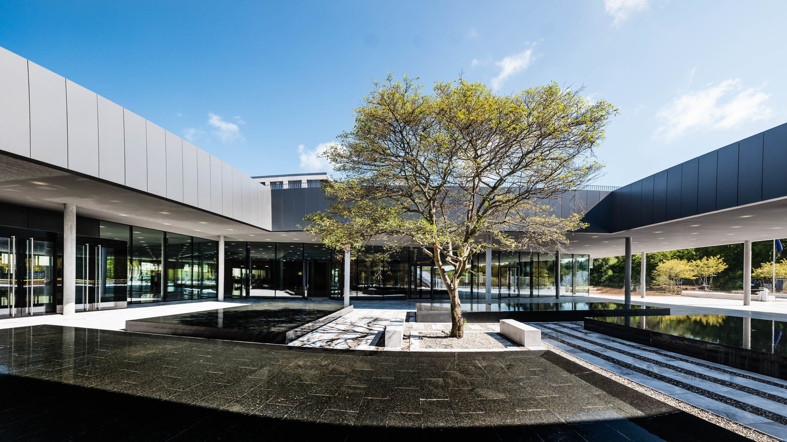 EHL-Campus-Tree