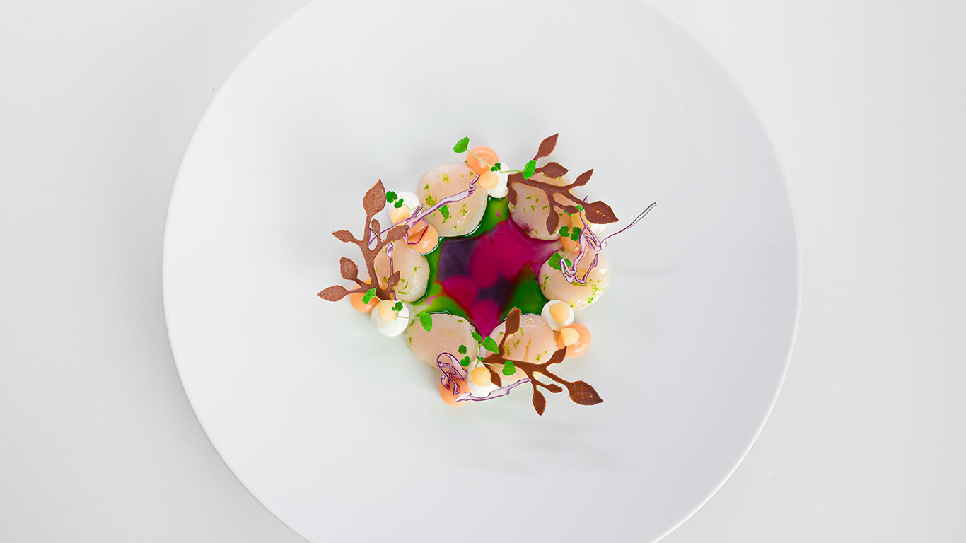 Plats-BDS-fond-blanc-Noxediem-3