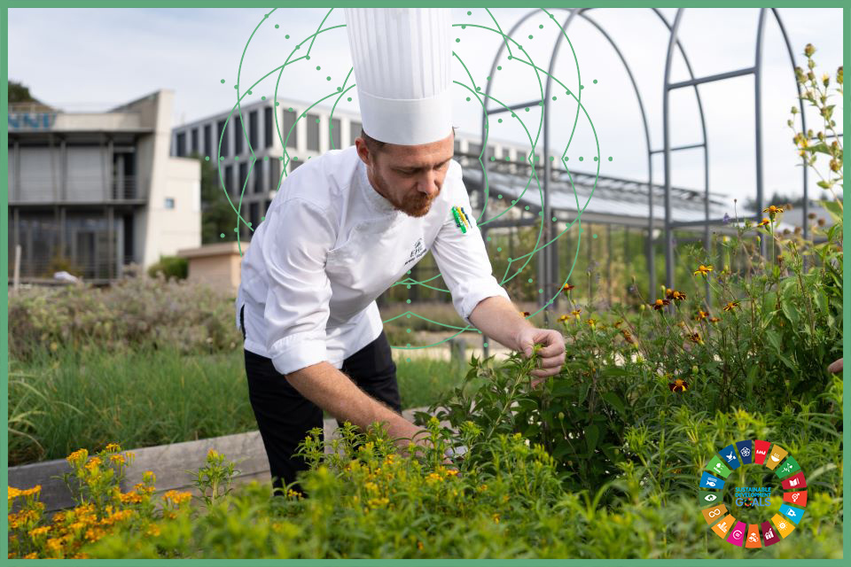 Respect our Environment