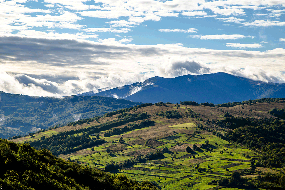 Regenerative Hospitality Lebanon