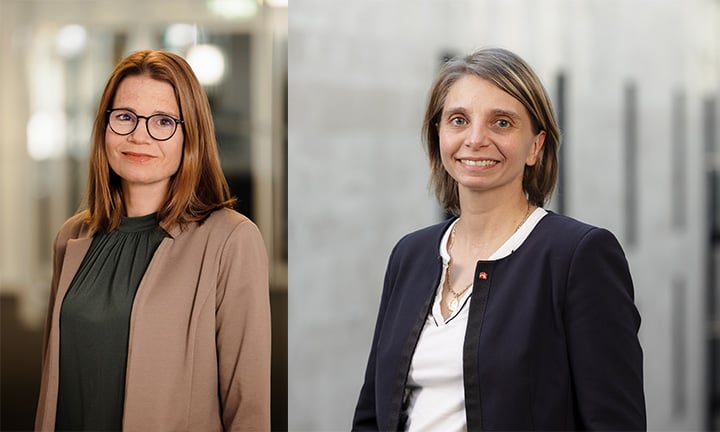 New EHL Board Members