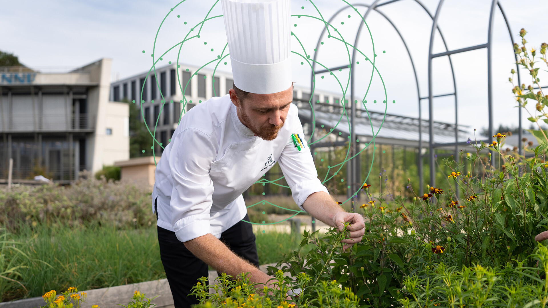 picture-environment-part