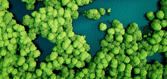 sustainability-week-teaching