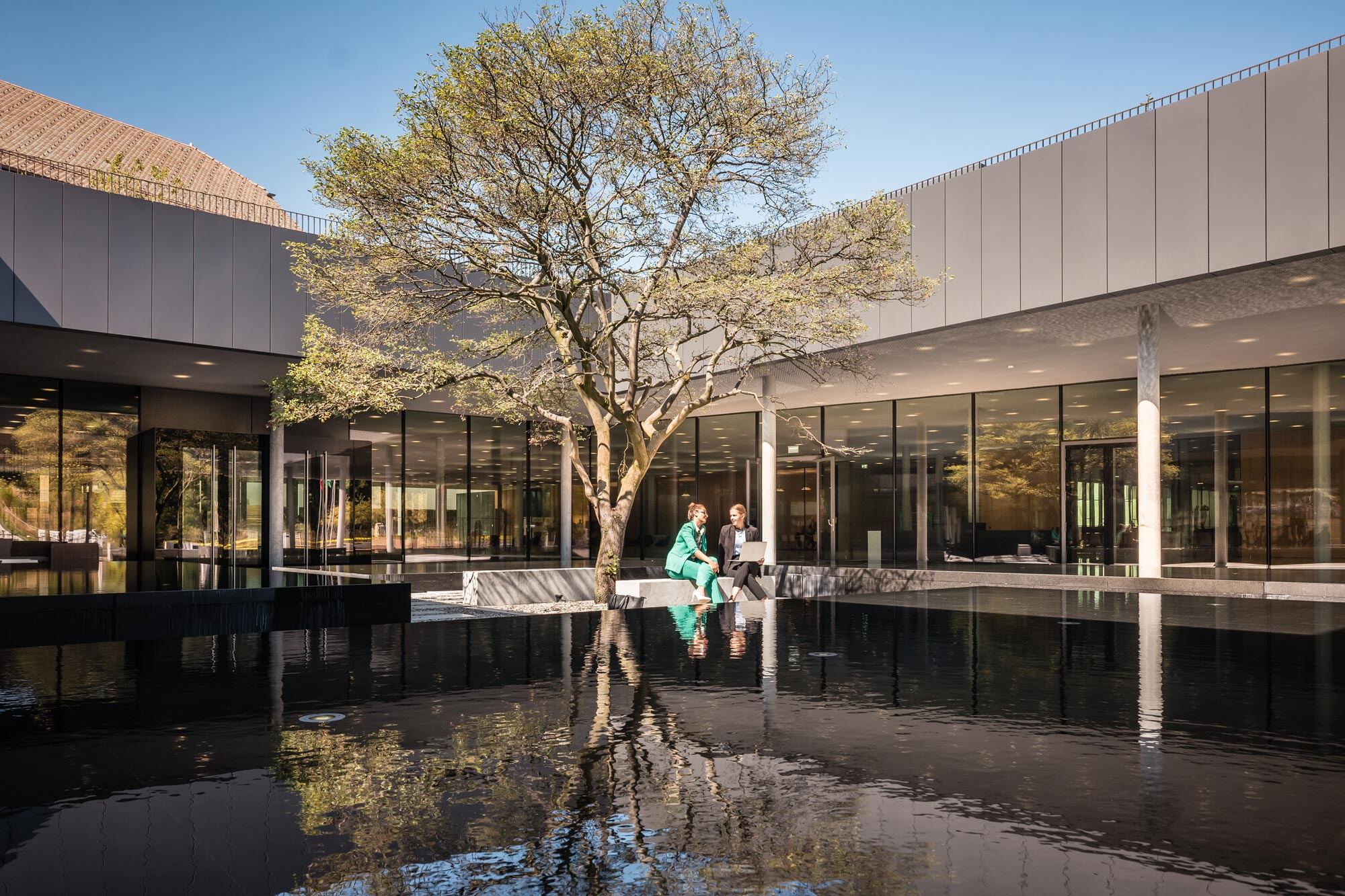 ehl-entrance-tree-students