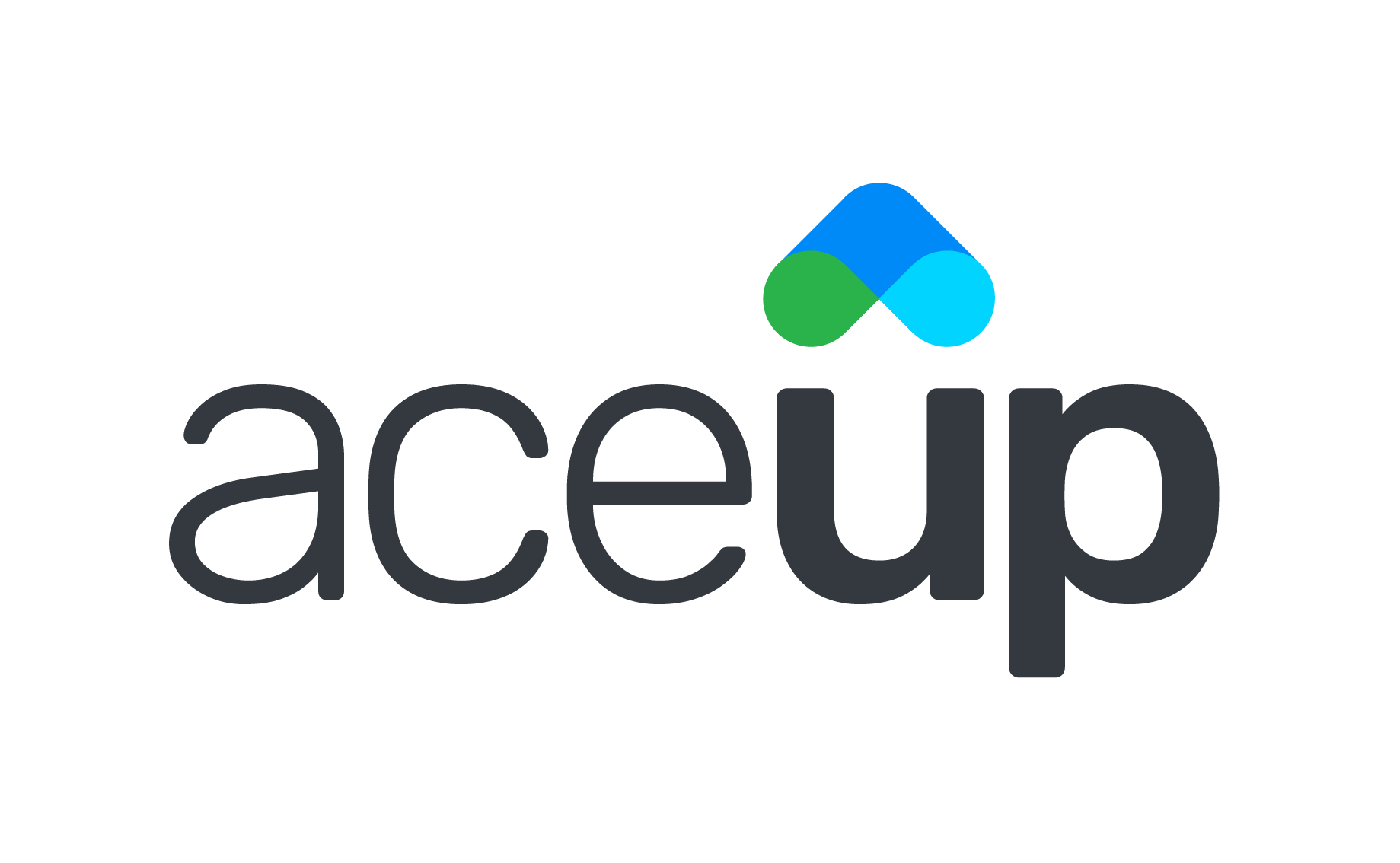 AceUp_Logo_black_Partner