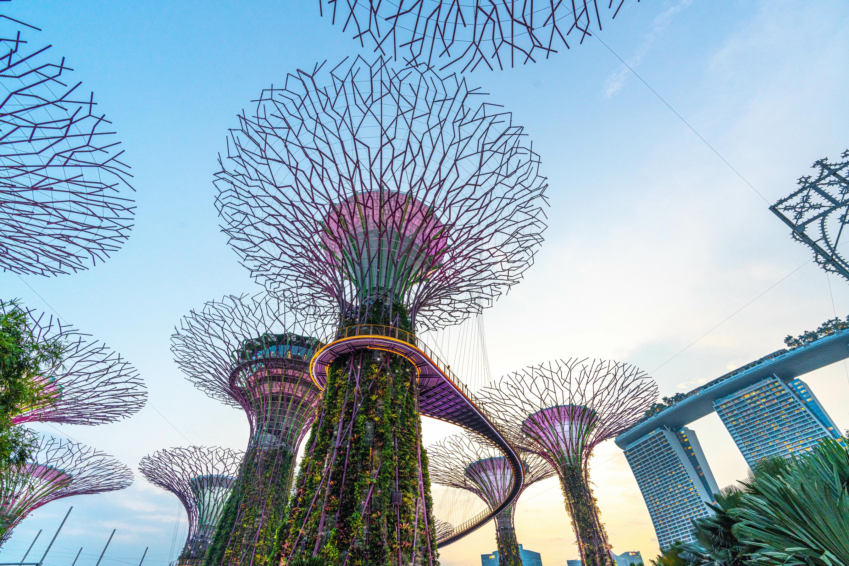 ehl-singapore-culture