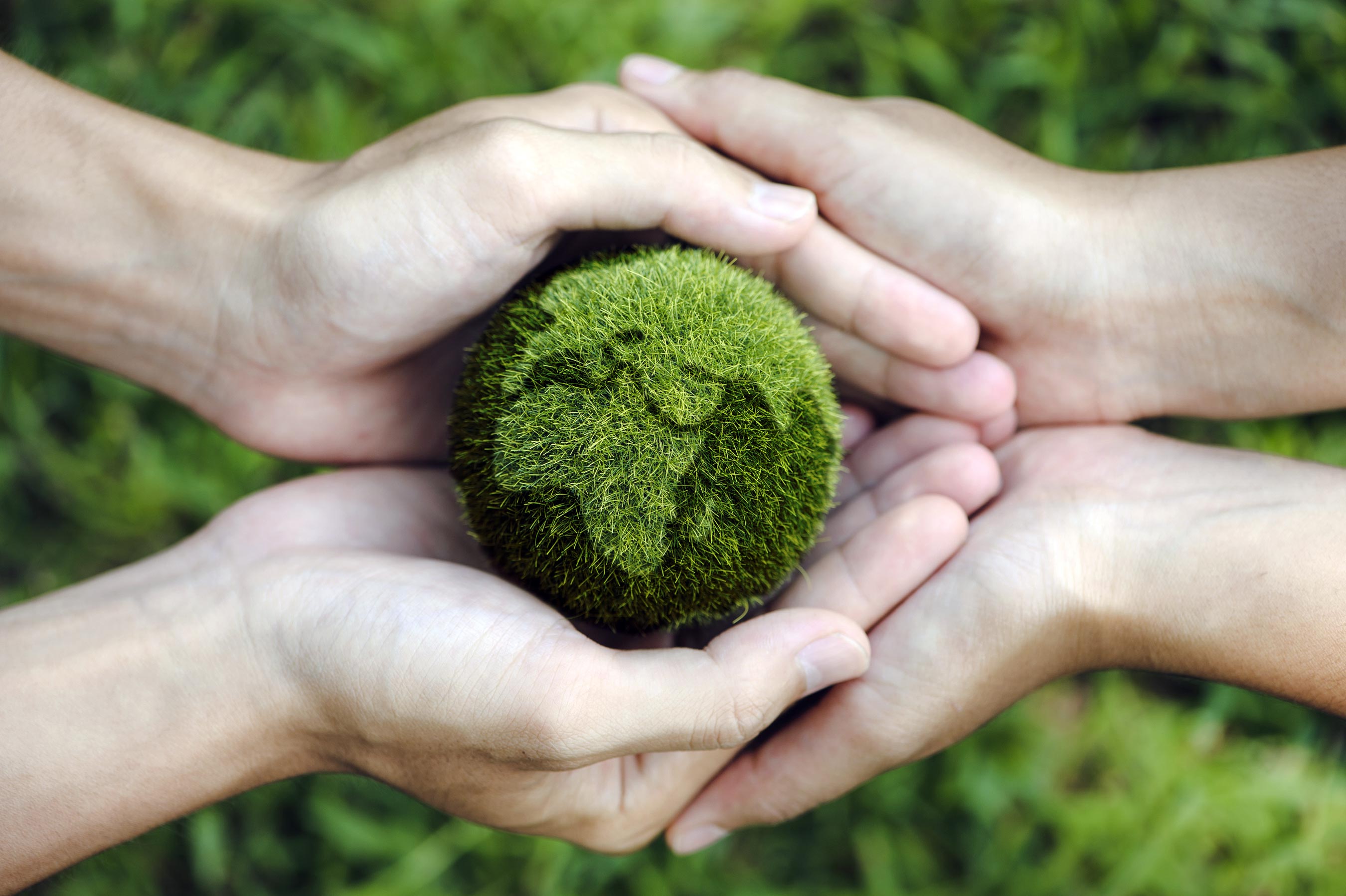 ehl-sustainability-caring